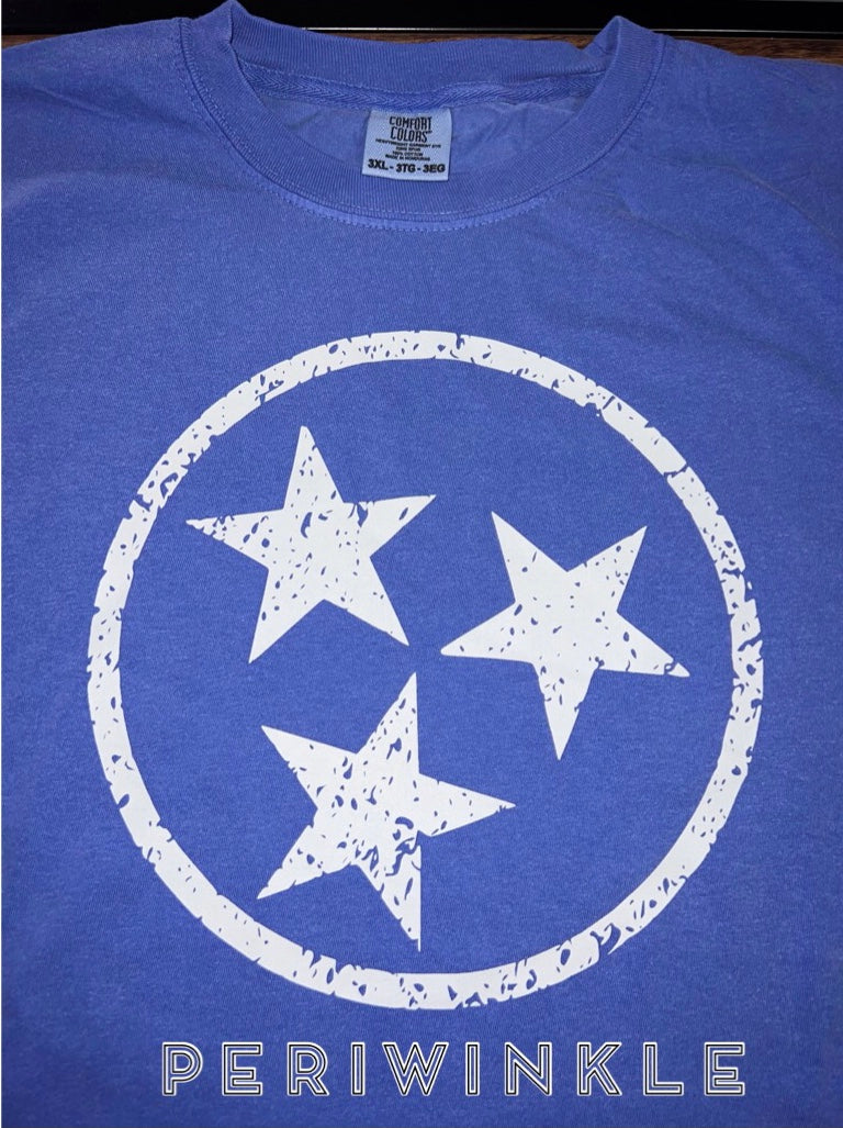 Tristar Tee-Comfort Colors – Southern & Sophisticated